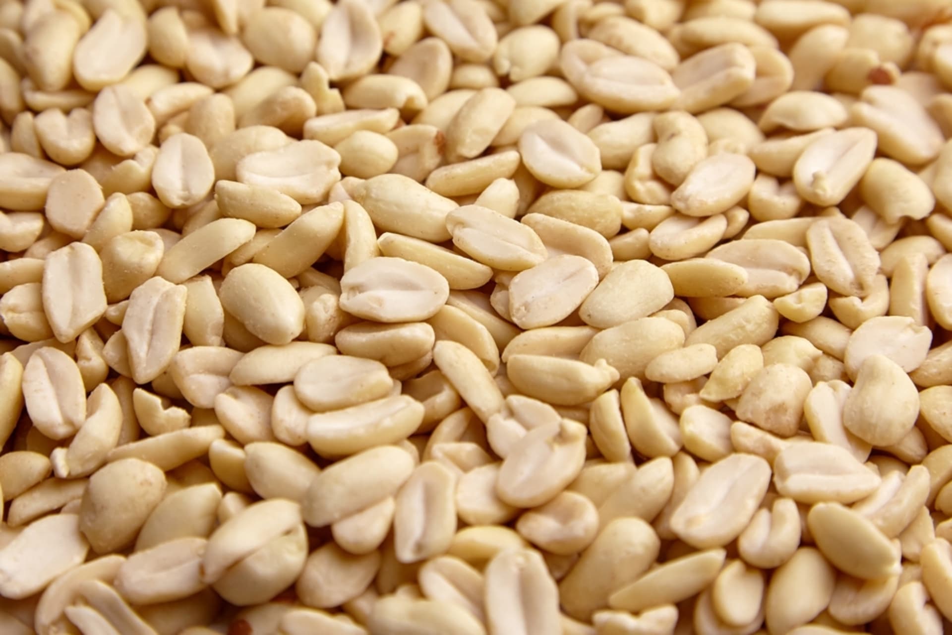 Blanched Peanuts Export - High Quality Agricultural Product