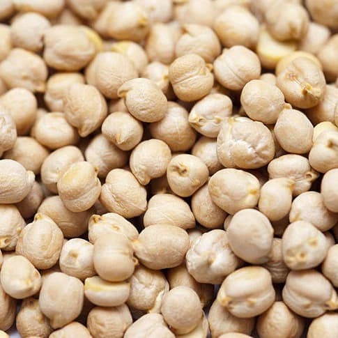 Chickpeas Export - High Quality Pulses for International Markets