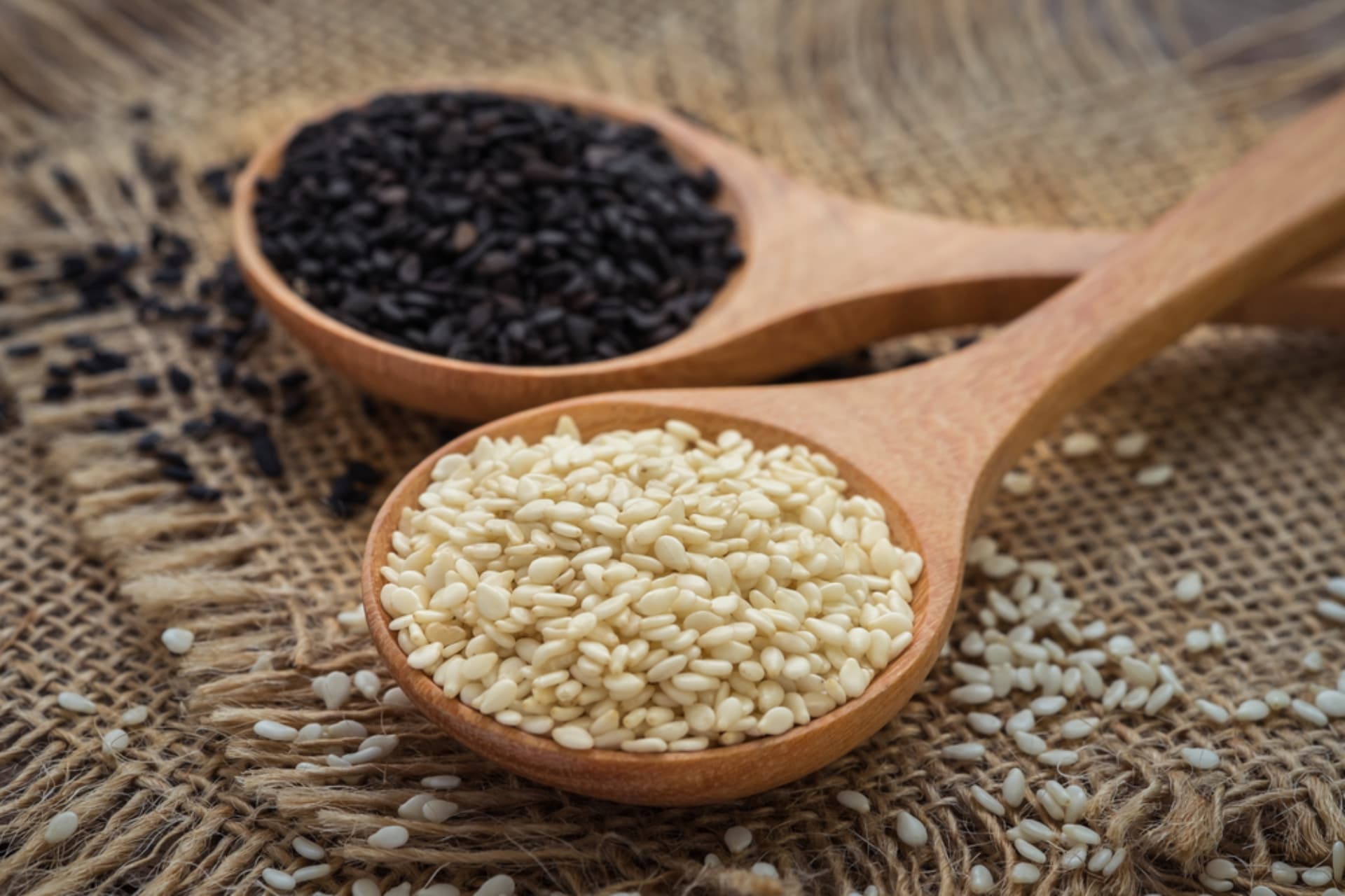 Natural Sesame Seeds Export - Organic Oil Seeds for International Trade