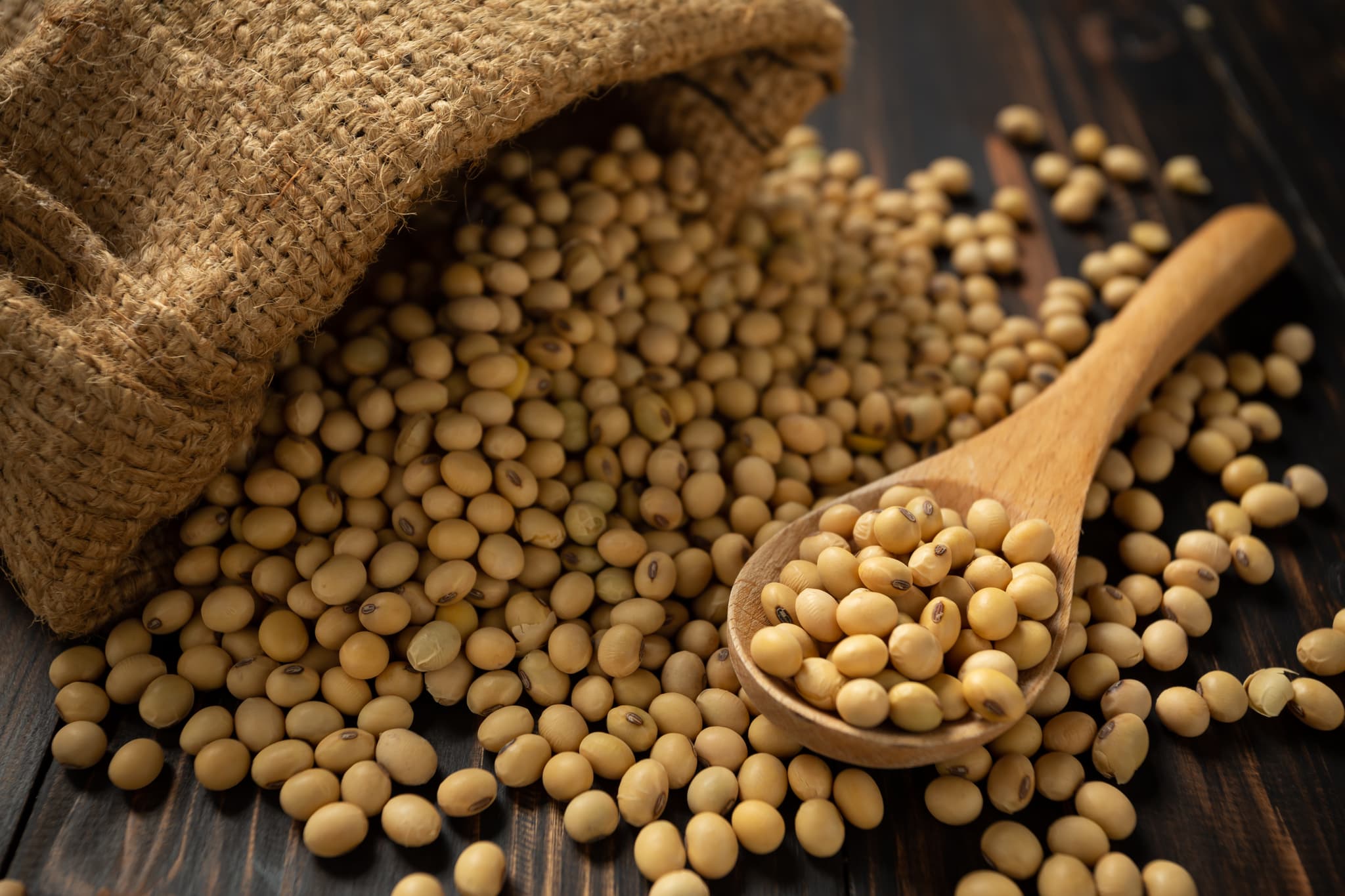 Soybean Export - High Protein Agricultural Commodity for Global Markets